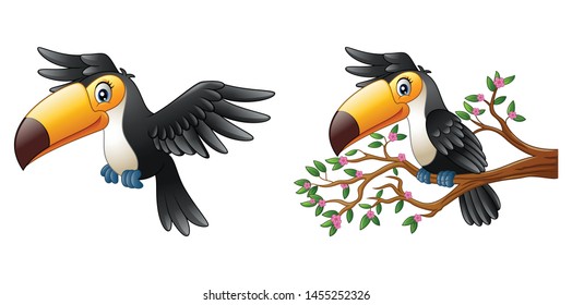 Vector illustration of Cartoon funny toucan collections