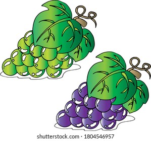 Vector illustration cartoon grape drawing
