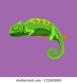 vector illustration cartoon graphic icon of chameleon green