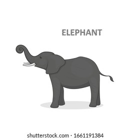 Vector illustration, a cartoon gray elephant with swirled trunk, isolated on a white background. Animal alphabet.