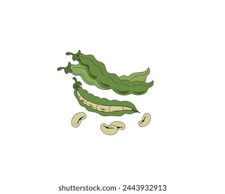 Vector illustration of cartoon green beans isolated on white background