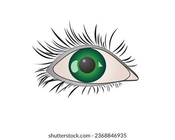 Vector illustration of a cartoon green eye with eyelashes on a white background