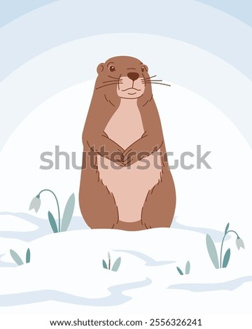Vector illustration of a cartoon groundhog crawled out of his hole surrounded by snow and snowdrops. Groundhog against a winter landscape. Rodent illustration for children's books, covers, calendars