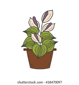Vector illustration with cartoon hand drawn houseplant. Cartoon house plant interior design.