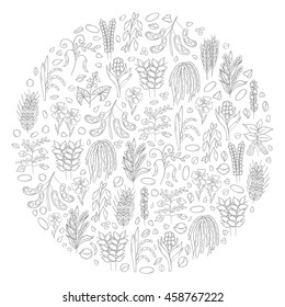 Vector illustration with cartoon hand drawn porridge cereals background: oats seeds, soybean, rye, wheat, quinoa, rice, chia seeds, lentil, chickpeas. Vector healthy breakfast. Food hand drawn objects