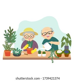 Ilustración vectorial de una caricatura alegre pareja de ancianos en la jardinería y plantas de riego en casa. La familia disfruta del concepto de su casa.