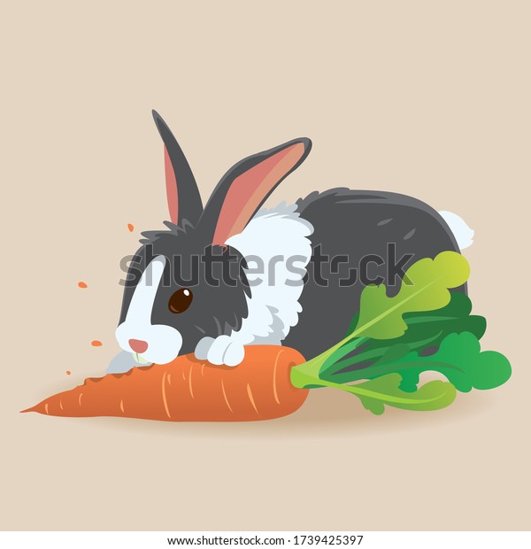 55,649 The Rabbit Eats Images, Stock Photos & Vectors | Shutterstock