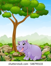 Vector illustration of Cartoon hippos in the jungle