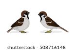 Vector Illustration and Cartoon : House little Bird Tree Sparrow (Passer montanus) isolated on white background.