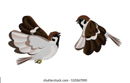 Vector Illustration and Cartoon : House little Bird Tree Sparrow (Passer montanus) flying make fun of isolated on white background.