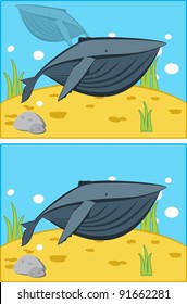 Vector illustration of a cartoon humpback whale swimming in the ocean