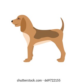 Vector illustration of a cartoon hunting dog. Isolated white background. Flat style. Puppy side view, profile.