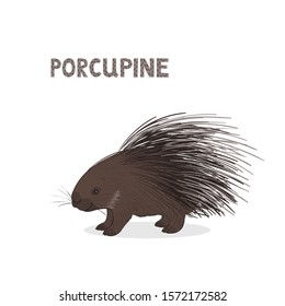 Vector illustration, a cartoon hystrix, porcupine , isolated on a white background. Animal alphabet.