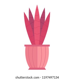 Vector illustration with cartoon isolated cactus icon. house plant in flowerpot, home interior background. Desert mexican succulent. Home flowers cartoon indoor object on white background