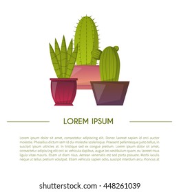 Vector illustration with cartoon isolated cactus. Vector house plant in flowerpot, home interior background. Desert mexican succulent. Home flowers cartoon indoor objects. Travel to Mexico icon