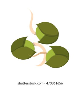 Vector illustration with cartoon isolated green soy sprouts. Vegan or vegetarian protein source. Cartoon isolated soy products. Green organic healthy food. Isolated sprouts icon on white background