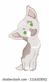 Vector illustration of a cartoon kitten