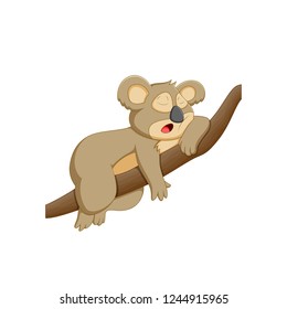 vector illustration of a cartoon koala