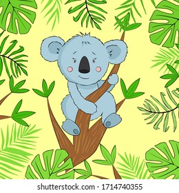 Vector illustration cartoon koala on the eucalyptus tree branch. Illustration with funny koala and exotic leaves.