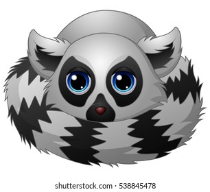 Vector illustration of Cartoon lemur laying down