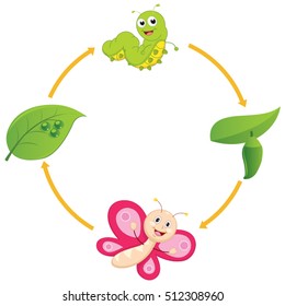 Vector Illustration of Cartoon Life Cycle of Butterfly