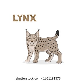 Vector illustration, a cartoon lynx, isolated on a white background. Animal alphabet.