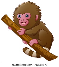 Vector illustration of Cartoon macaque monkey