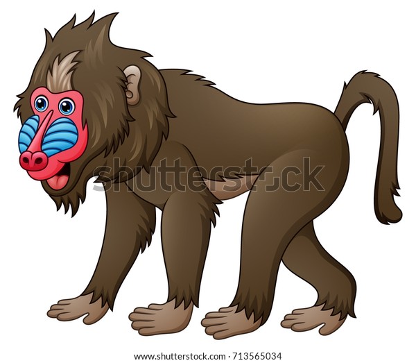 Vector Illustration Cartoon Mandrill Baboon Stock Vector (Royalty Free ...