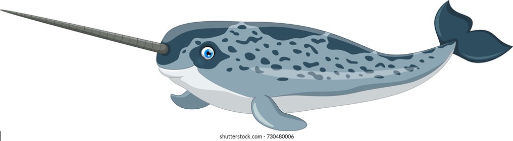 Vector illustration of cartoon narwhal isolated on white background