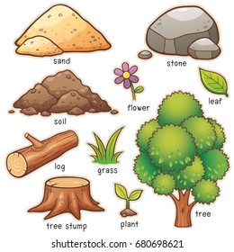 Vector illustration of Cartoon nature element vocabulary