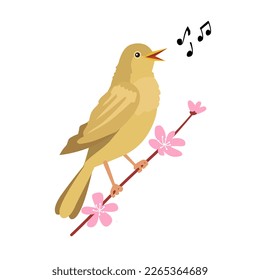 Vector illustration of a cartoon nightingale singing on a sakura branch