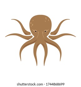Vector illustration, cartoon octopus on a white background. Brown octopus isolated.