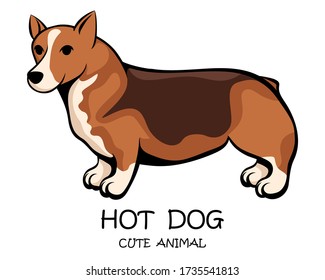 Vector illustration cartoon on a white background of a cute corgi dog