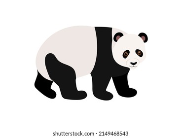 Vector illustration of cartoon panda isolated on white background