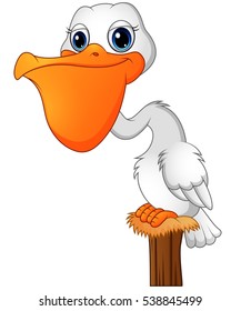 Vector illustration of Cartoon Pelican in the bay