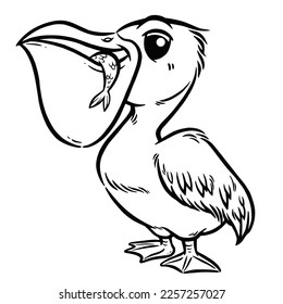 Vector illustration of Cartoon pelican - Coloring book for kids