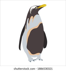 Vector illustration of cartoon penguin in modern flat color design, black, white, and gray. North and south pole winter and snow artic antartica