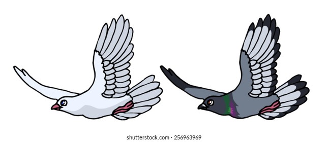 Vector illustration of a cartoon pigeon and dove.