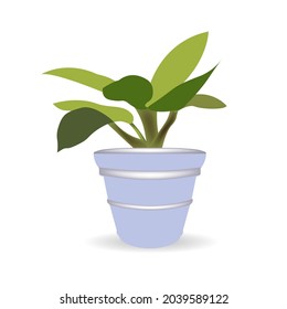 vector illustration of a cartoon plant in a pot. isolated white background
