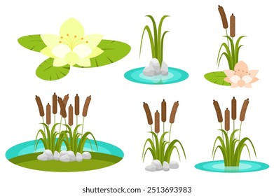 Vector illustration. Cartoon pond plant set collection. Reed, acquatic plants, blooming lotus flower isolated icon on white background.