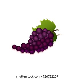 Vector illustration of a cartoon purple grape isolated on a white background.