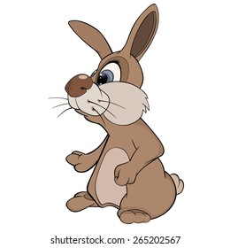 vector illustration of cartoon rabbit