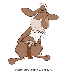 vector illustration of cartoon rabbit