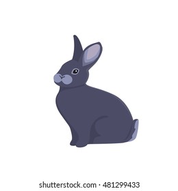 vector illustration of cartoon rabbit.