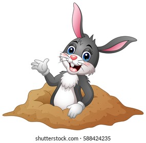 Vector illustration of Cartoon rabbit out of holes in the ground