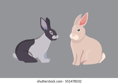 vector illustration of cartoon rabbits different breeds. Fine bunnys for veterinary design