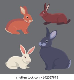 vector illustration of cartoon rabbits different breeds. Fine bunnys for veterinary design