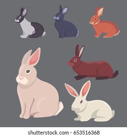 vector illustration of cartoon rabbits different breeds. Fine bunnys for veterinary design