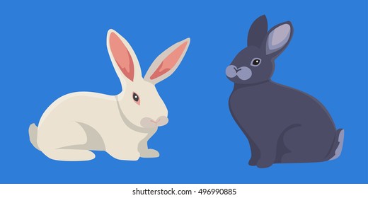 vector illustration of cartoon rabbits. set of drawing vector isolated rabbit.