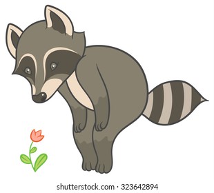 Vector illustration - cartoon raccoon looks at flower